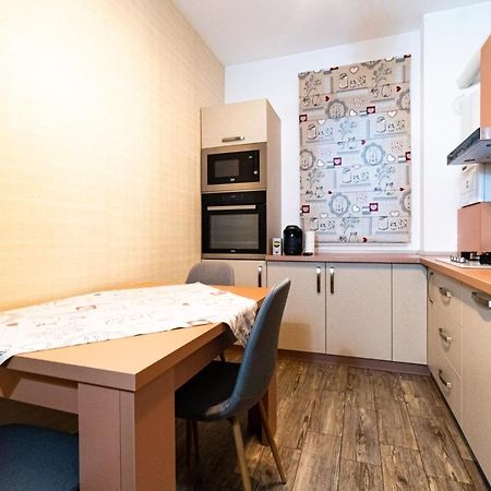 Yan Apartment - Near Mall & Free Private Parking 布拉索夫 外观 照片